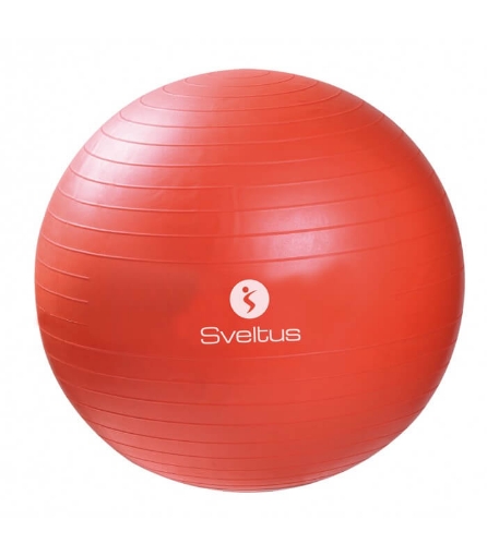 Picture of Fitness Ball - Ø55 Sveltus