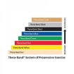 Picture of THERA-BAND® Elastic Band - Gold