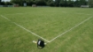 Picture of Field Delimitation Set 75m 