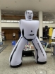 Picture of Inflatable Sumo Dummy 200cm
